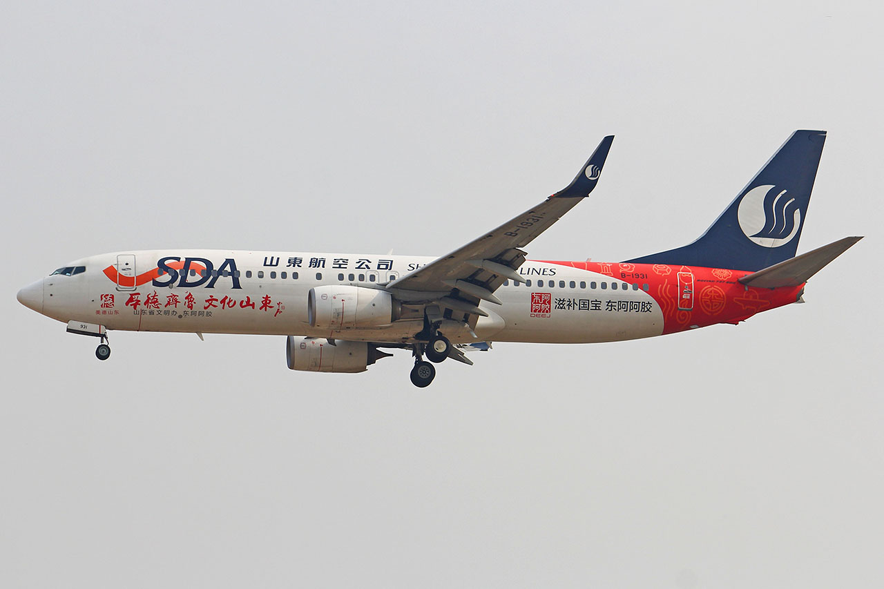 ./assets/img/aircraft/B-CDG-B738-2.jpg