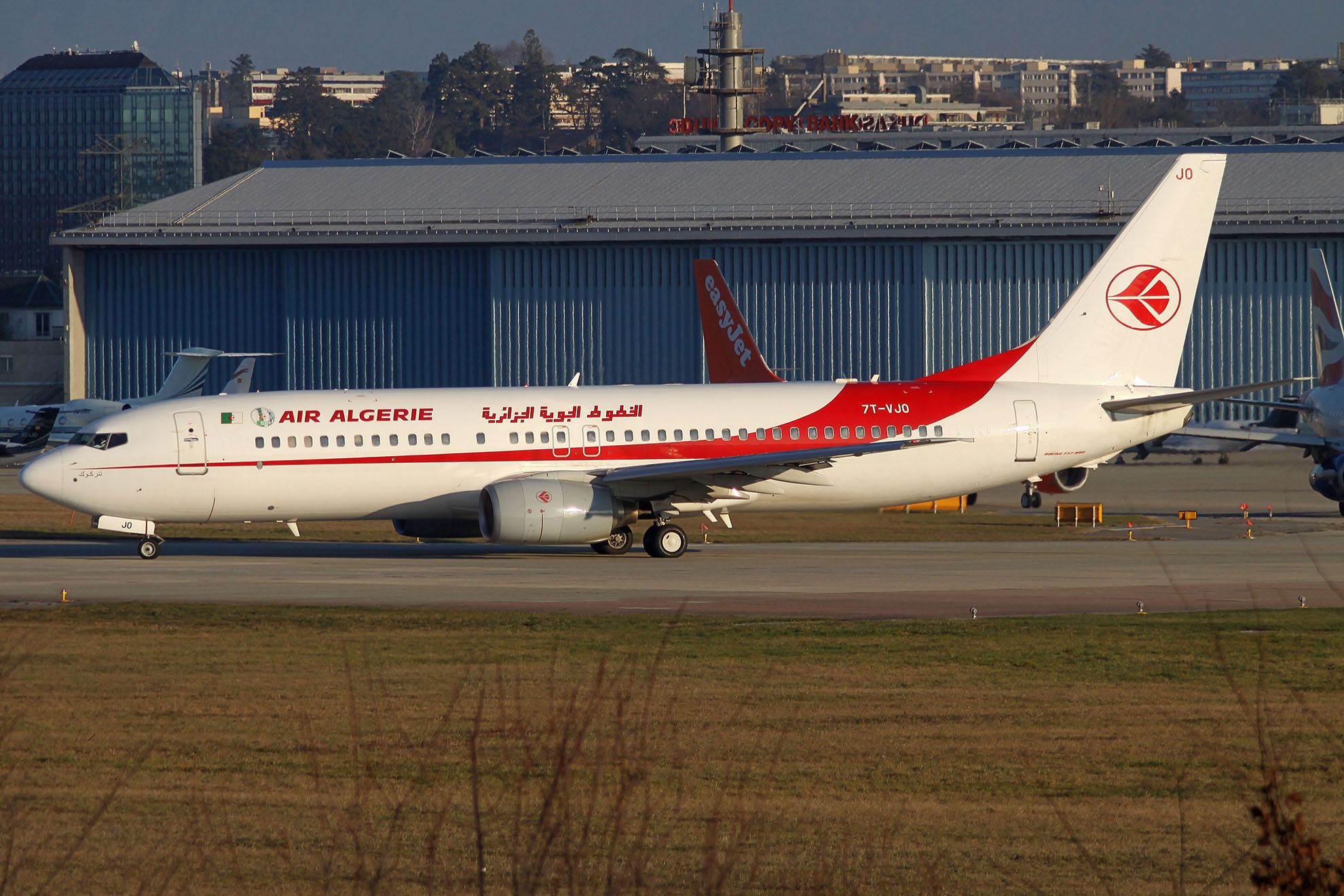 ./assets/img/aircraft/7T-DAH-B738-3.jpg