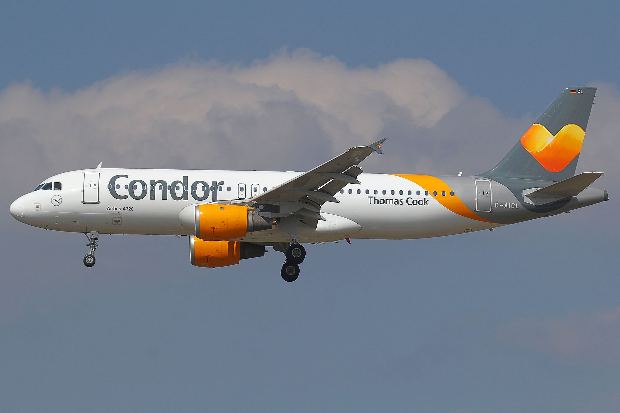 ./assets/img/aircraft/D-CFG-A320-8.jpg