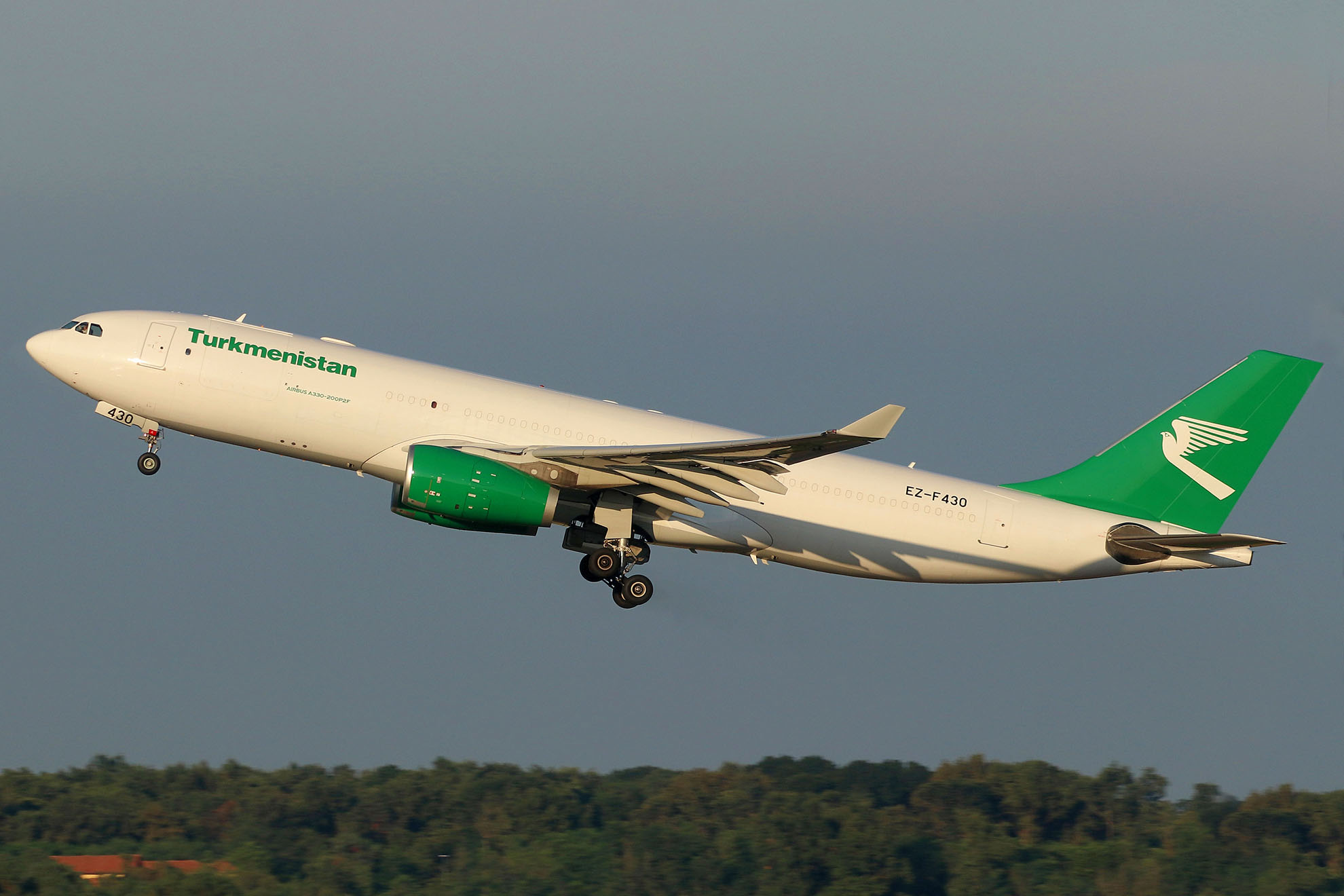 ./assets/img/aircraft/EZ-TUA-A332-1.jpg